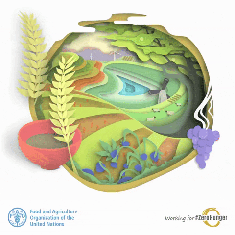 United Nations Zerohunger GIF by FAO
