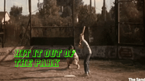 Image result for hit it out of the park meme