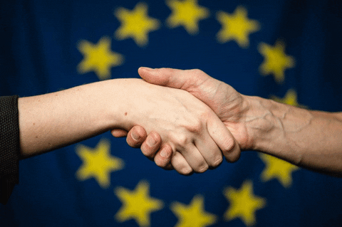 Eu Europe Peace Flag Hands Stars Diplomacy Cooperation GIF by European Commission