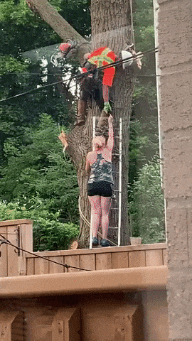 Tree cutting gone wrong in fail gifs