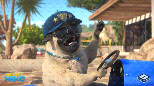 Happy Pug GIF by Boomerang Official - Find & Share on GIPHY