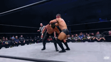 Resultados AEW Dark Episodio 11 | SCU vs. Private Party 19