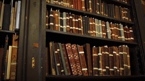 Cand verifici raftul corect si versiunea corecta inainte sa continui lectura