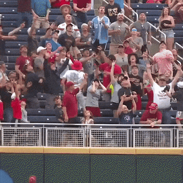 The celebration in funny gifs