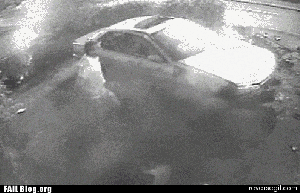 I Must Go My People Need Me Gif Find Share On Giphy