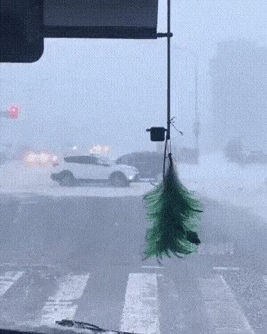 When wind decide where you go in funny gifs