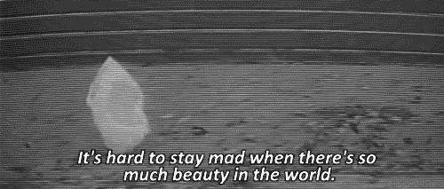 American Beauty Plastic Bag Quote