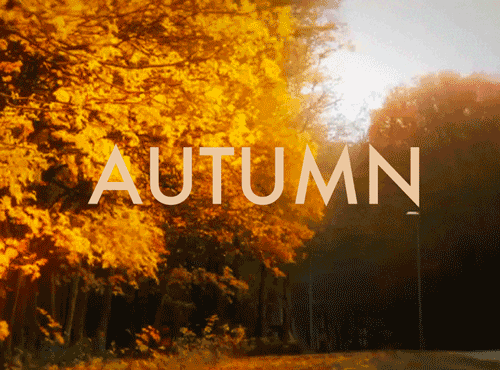 Fall Colors GIFs - Find & Share on GIPHY