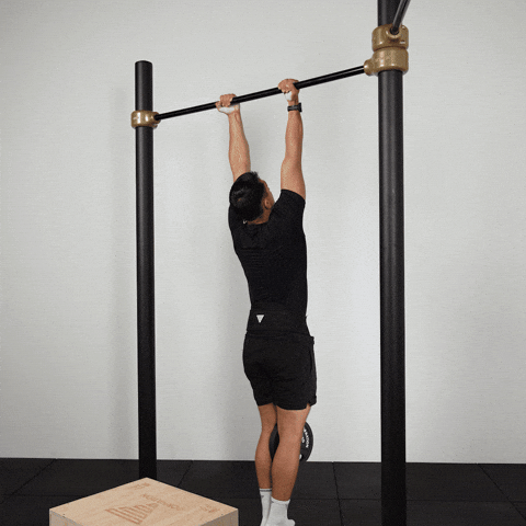 Weighted chin up demonstration