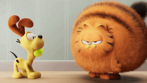 Gif