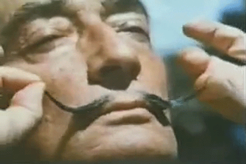Salvador Dali Mustache GIF - Find & Share on GIPHY