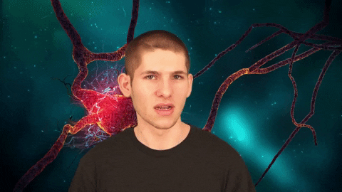giphy Voters, beware: We interviewed the Cannabis Candidate and hes full of it