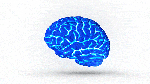 Cerebro inteligencia artificial