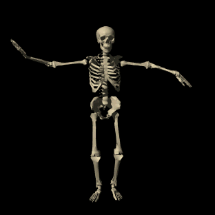Transparent Spooky GIF - Find & Share on GIPHY