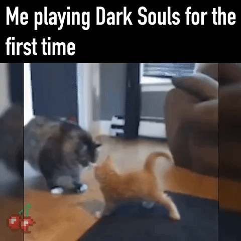 Playing Dark Soul For First Time in gaming gifs