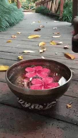 Dancing water bowl in wow gifs