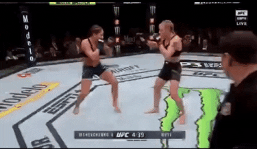 ufc vipbox