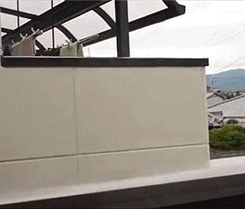 Https Encrypted Tbn0 Gstatic Com Images Q Tbn 3aand9gcrmn9rllfx2bumtad0s4kqukm6lvd0lw79txa Usqp Cau