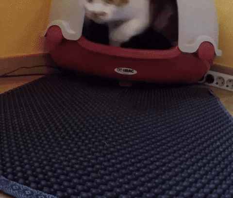 HappyStore Waterproof Cat Litter Mat | HappyStore
