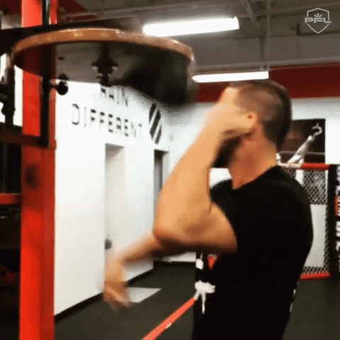 Mma Speedbag GIF - Find & Share on GIPHY