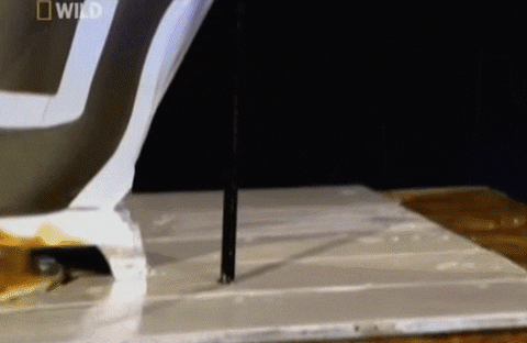 Toilet Rat GIF - Find & Share on GIPHY Toilet Rat GIF - Find & Share on GIPHY