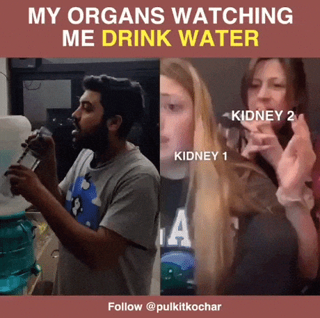 Stay hyderated guys in funny gifs