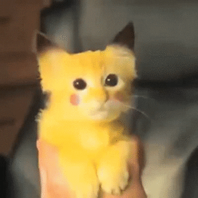 Risultati immagini per pikachu gif