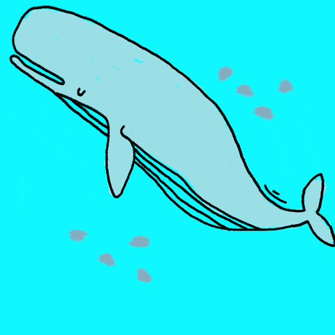 Image de baleine