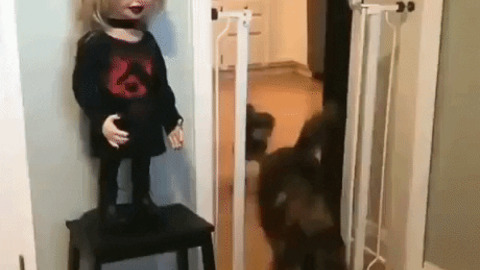 This doll is scary