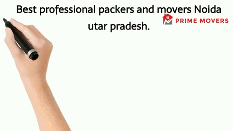 Genuine Professional Packers and Movers services noida