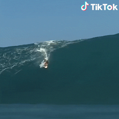 Surf GIFs Find & Share on GIPHY