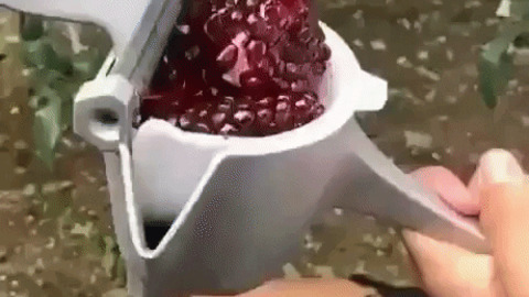 Pomegranate juicer machine