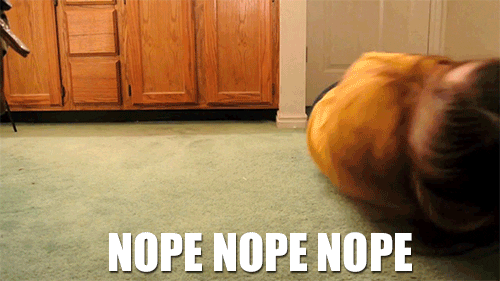 Image result for orange nope gif