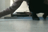 Tail held high, Cats and Kids: What their behaviors mean by LilHelper.ca Blog