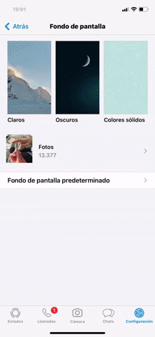 238. WhatsApp - Color Switcher Preview