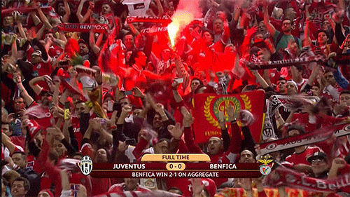 Benfica GIF - Find & Share on GIPHY