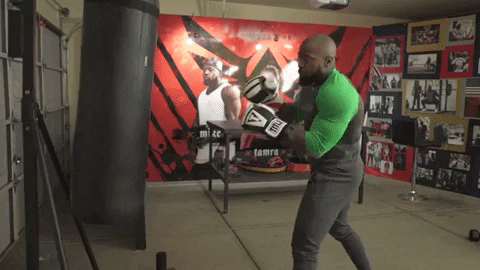 Boxing For Beginners Mike Rashid