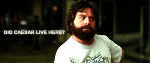 Drunk Zach Galifianakis GIF - Find & Share on GIPHY