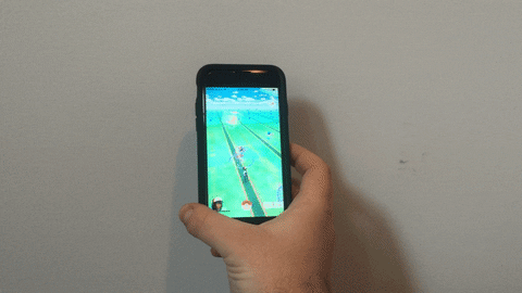 giphy.gif