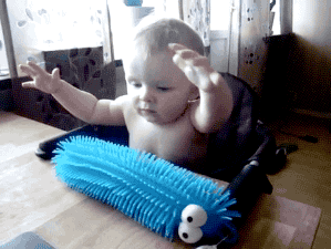 giphy.gif