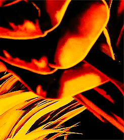 Https Encrypted Tbn0 Gstatic Com Images Q Tbn 3aand9gcryenagg2u0y0lfa Fvkkm C2mz8ml 4gl2qa Usqp Cau