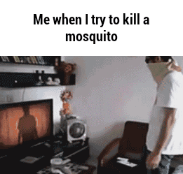 Mosquito GIFs - Find & Share on GIPHY