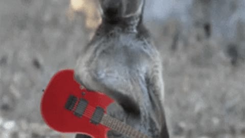 Guitar boi