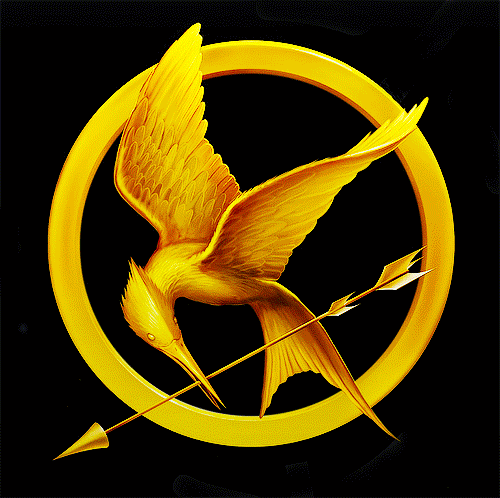 Account Suspended  Hunger games gif, Hunger games, Hunger games movies