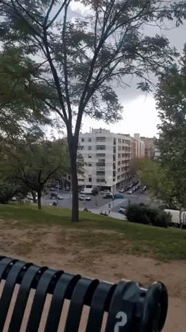 giphy.gif