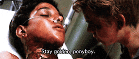 Image result for Stay golden gif
