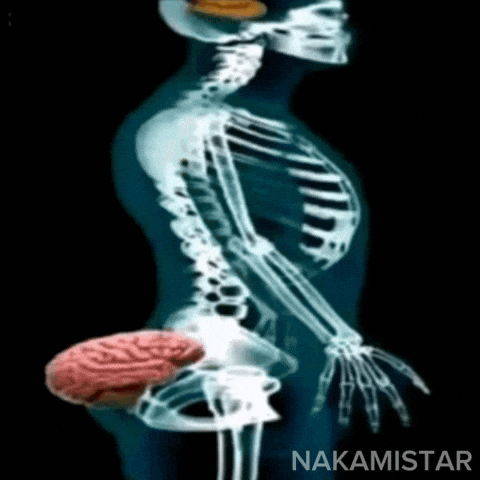 brain in ass xray GIF to use in Instagram comments