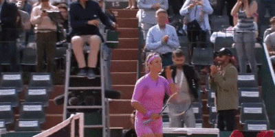 Maria Sharapova Tennis GIF Find & Share on GIPHY