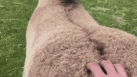 Good scratches gif