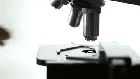 A picture of a microscope.